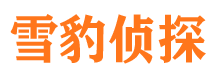 内乡市婚外情调查